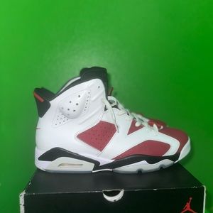 Jordan Carmine 6’s